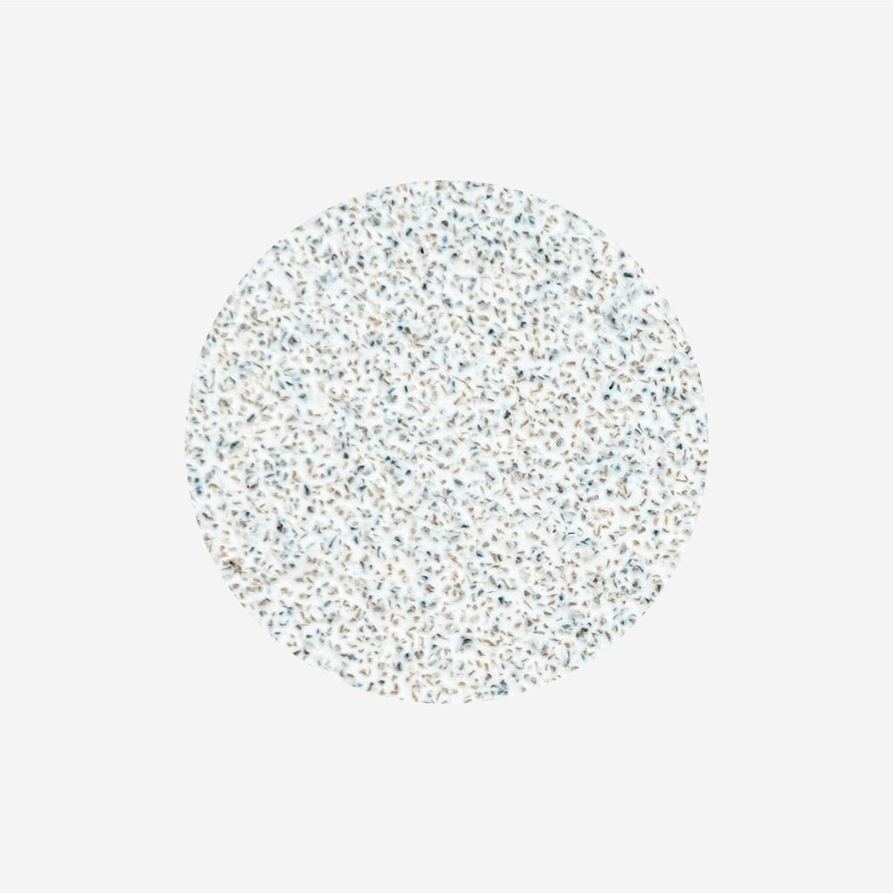 Staleks Pododisc L Expert filer 80 grit 50 stk hvite