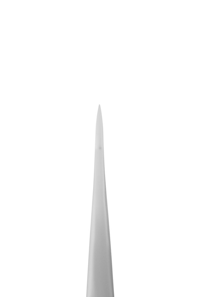 Staleks Pro Expert 30 Type 2 pinsett lang