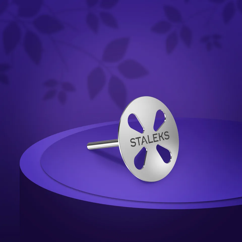 Staleks Expert Pododisc L pedikyrdisk 25 mm 5 stk