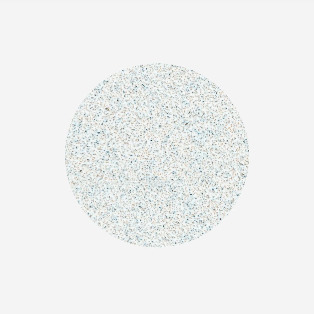 Staleks Pododisc Expert L slipepapir 100 grit 50 stk