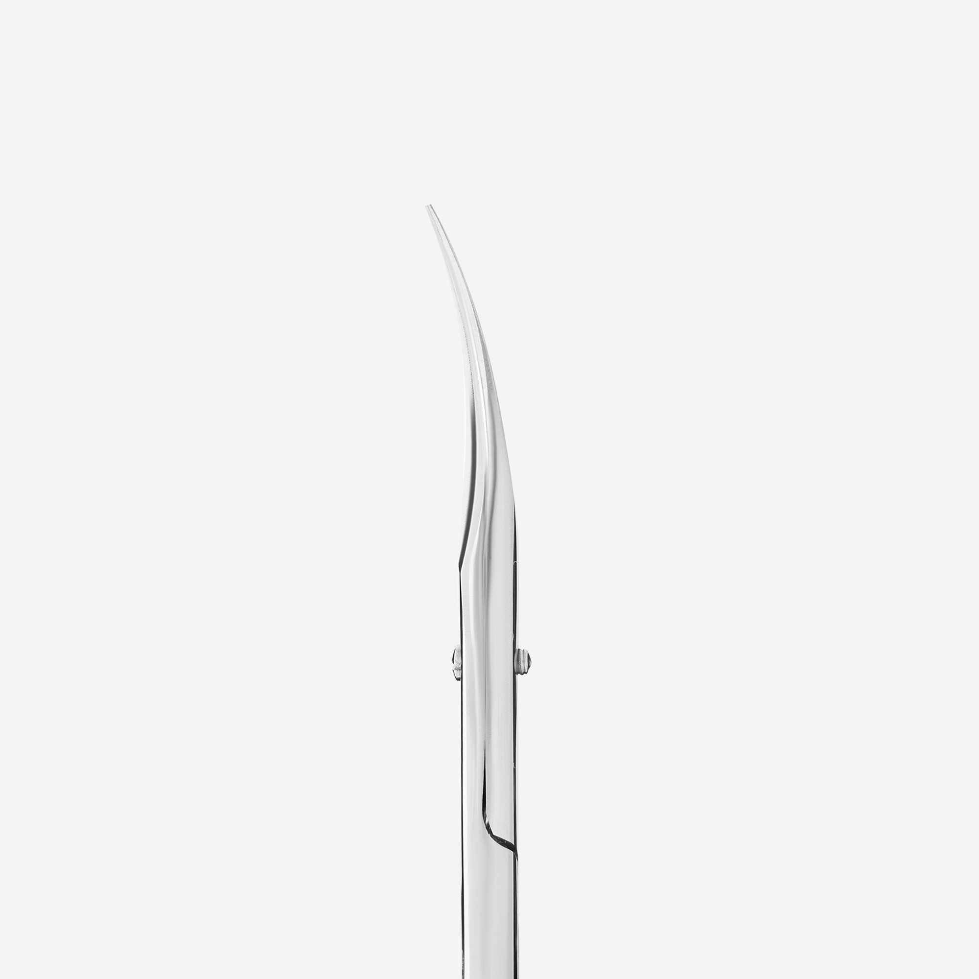 Staleks Pro Expert 10 Type 1 neglebåndssaks profesjonell